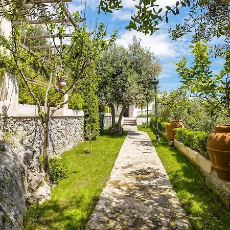 Antonella Amalfi Coast Praiano